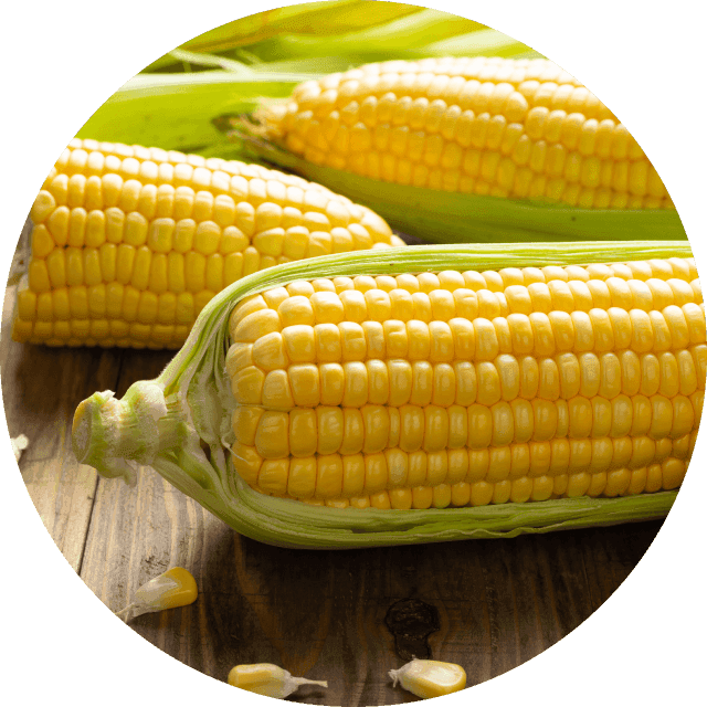 Kukuřičná vláknina